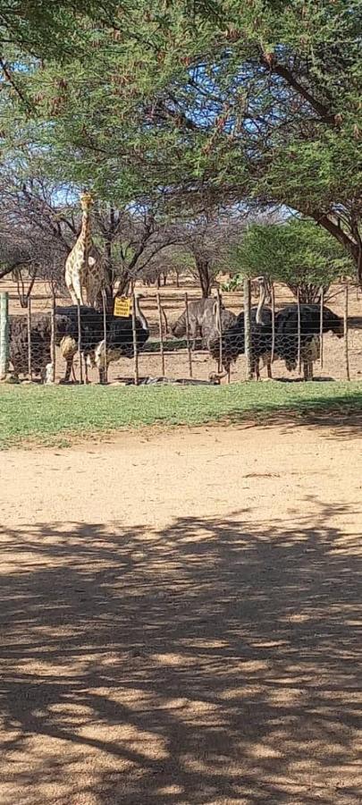 Hotel Ombo Rest Camp Okahandja Esterno foto